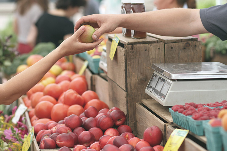 frutas para a introdução alimentar