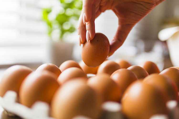 Bebê Pode Comer Ovo na Introdução Alimentar?