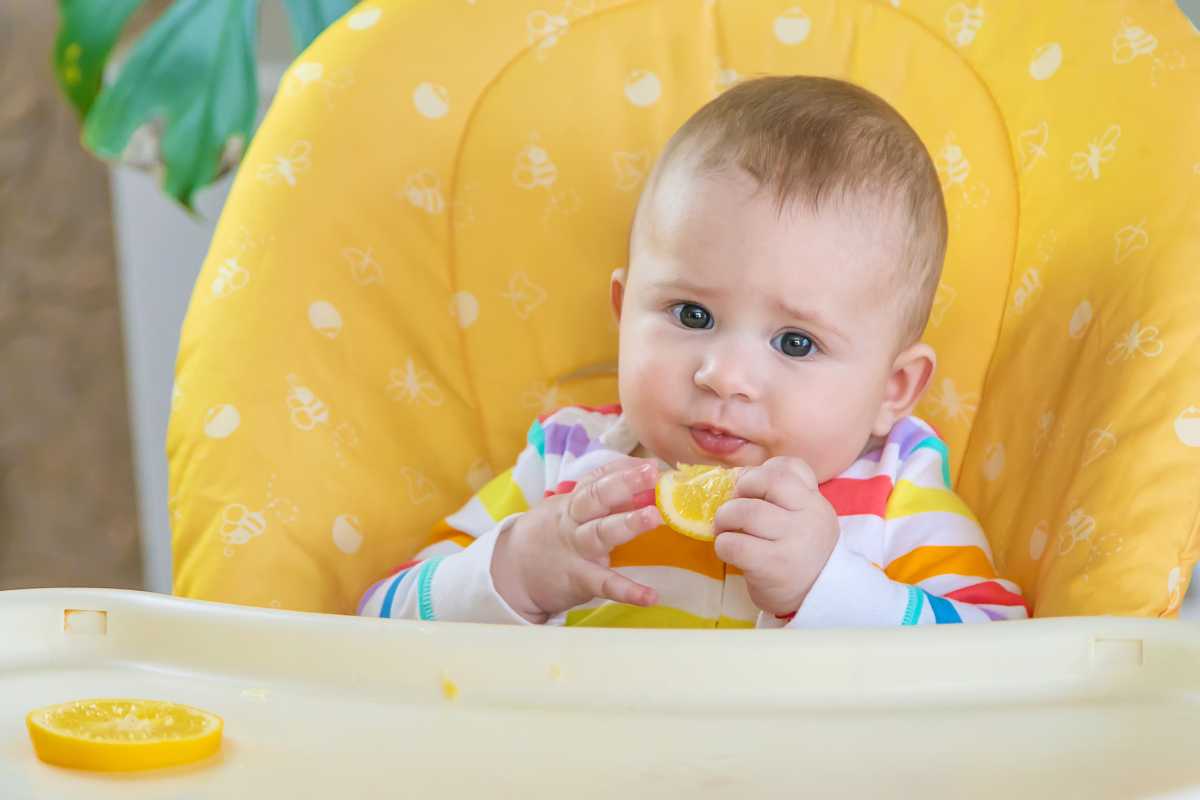 frutas para bebê de 6 meses