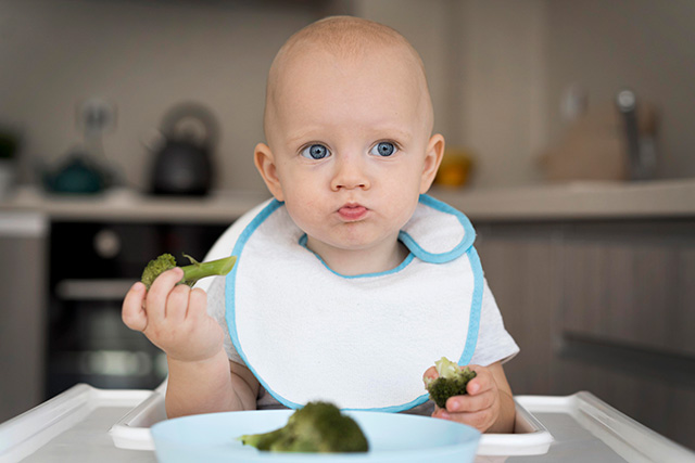 como começar a introdução alimentar