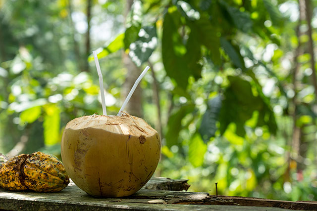 água de coco para bebe pode?