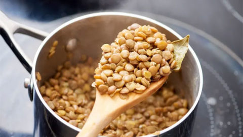 receita de lentilha para bebê