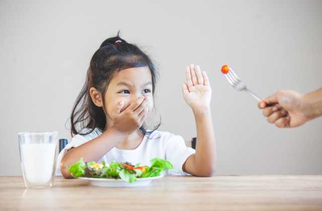 neofobia alimentar infantil